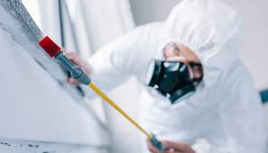 Best Pest Exclusion Services  in Zwolle, LA